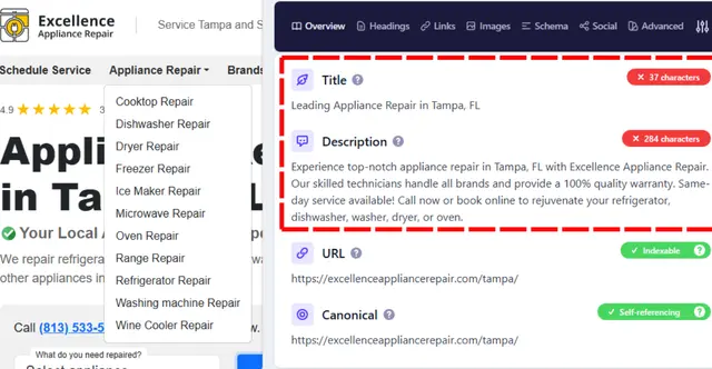 pain points of Exellence Applience Repair company in Tampa